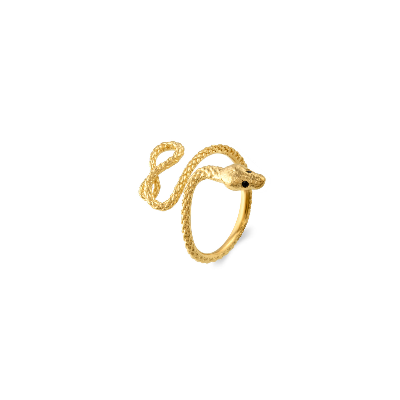 Rudra ring